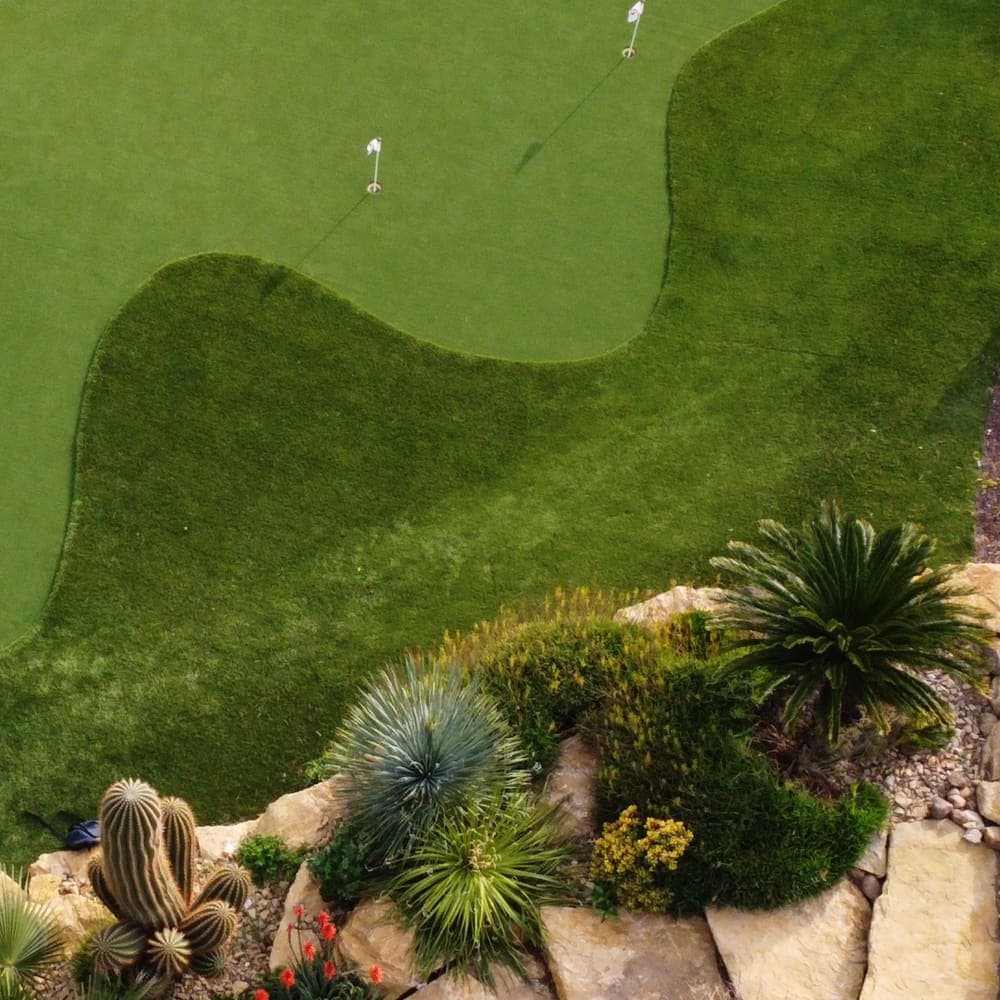 Desert Landscape Green