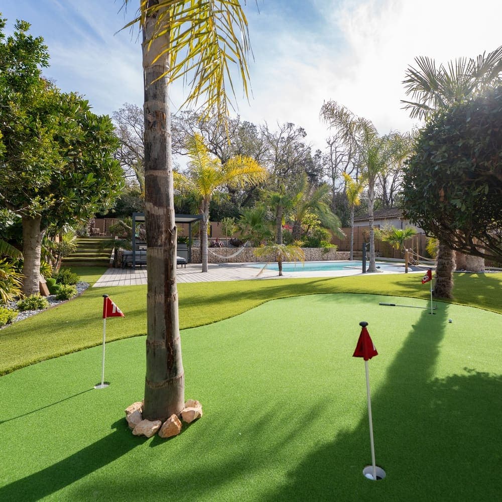 Palm-Shaded Poolside Green